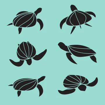 Set of vector turtle isolated on blue background. Animal. Reptile. Easy edita Stock Illustration