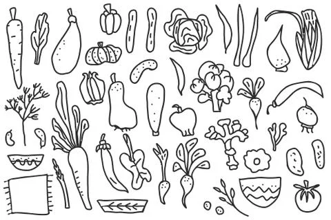 Set of vector vegetables shape. Collection of veg in doodle style isolated on Stock Illustration