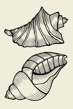 Set of vector vintage seashells Stock Illustration