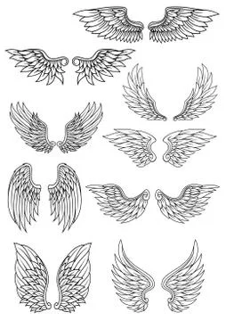 Set of vector wings outline drawings Illustrazione stock