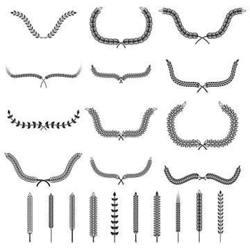 Set of vector wreaths and branches. Design elements for logo, label, emblem, Stock Illustration