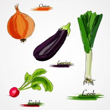 Set of vegetable Stock Illustration