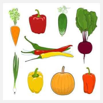 Set of Vegetable  Isolated on White Background 스톡 일러스트