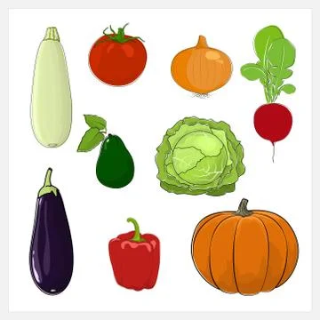 Set of Vegetable  Isolated on White Background Stock Illustration