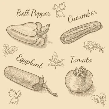 Set of vegetables with bell pepper Stock Illustration