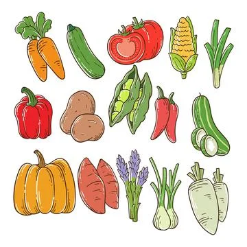 Set of vegetables element hand-drawn illustration. 库存插图