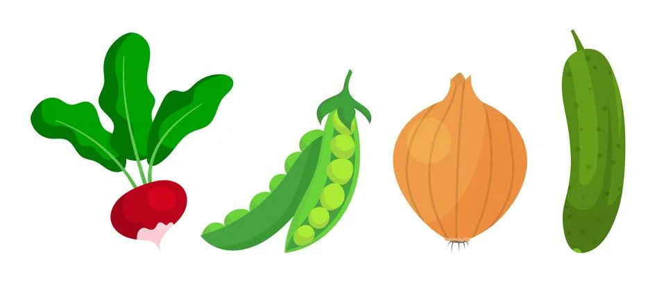 Set of vegetables Illustrazione stock