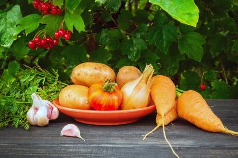 Set of vegetables on the old gray table before cooking stacked after harvest Stock Photos