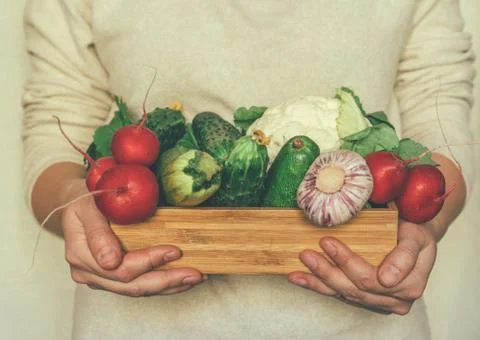 Set of vegetables Stock Photos