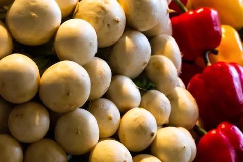 Set of vegetables stack of round fruits vegetables white radish red yellow cl 스톡 사진