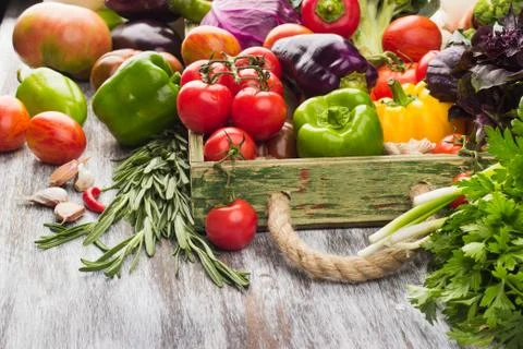 Set of vegetables in the tray Stock Photos