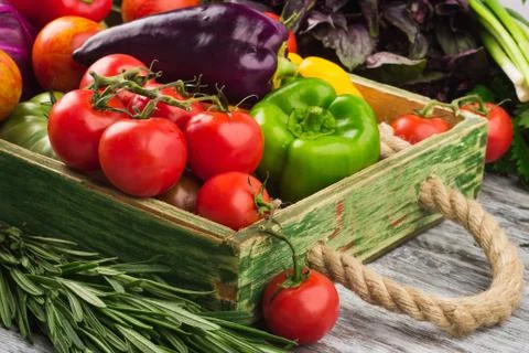 Set of vegetables in the tray 写真素材