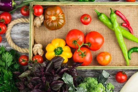 Set of vegetables in the tray Stock Photos