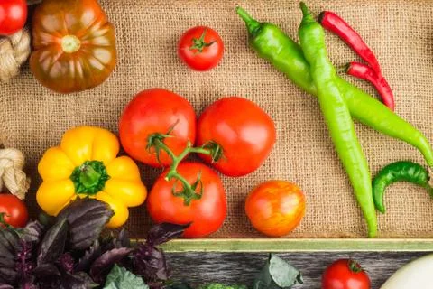 Set of vegetables in the tray Stock Photos