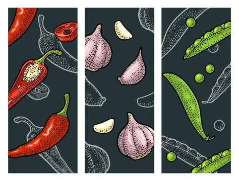 Set vegetables. Vector color and monochrome vintage engraving Illustrazione stock