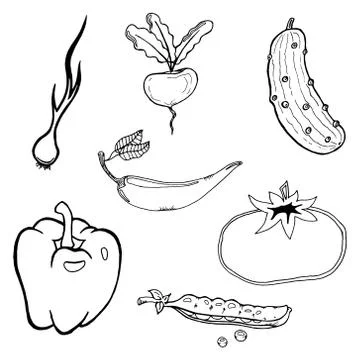Set of vegetables. Vector illustration of beet, pepper, onion, cucumber, toma Stock Illustration