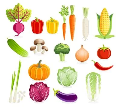 Set of vegetables. Vector illustrations. Stock Illustration