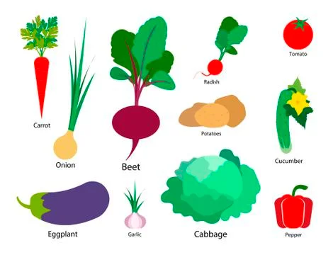 Set of vegetables on a white isolated background. Vector illustration. Stock Illustration