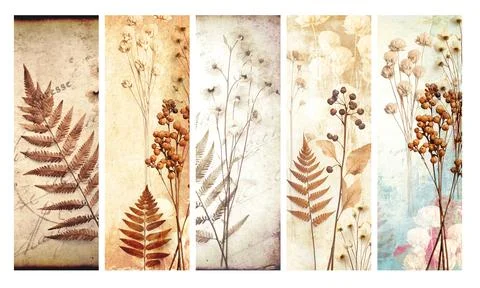 Set of vertical banners with old paper texture and dry pressed leaves and f.. Stock Illustration