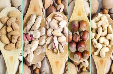 A set of vertical images of various types of nuts. Stock Photos