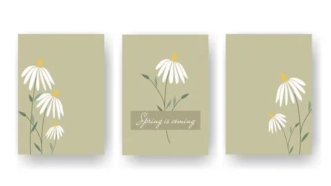 Set of vertical templates with flowers Stock Illustration