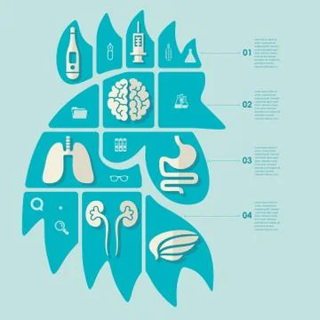 Set of veterinary flat icons Stock Illustration