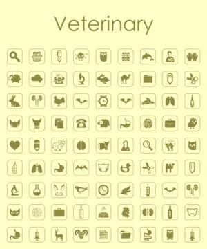 Set of veterinary simple icons Stock Illustration