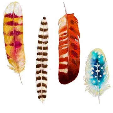 Set with vibrant feathers Stock Illustration