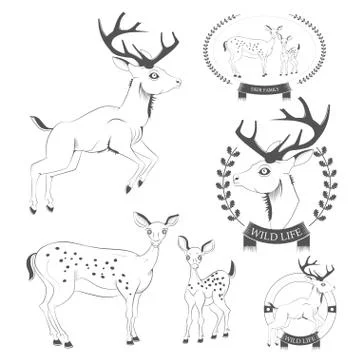 Set of vintage deer, emblems, labels, logo Stock Illustration