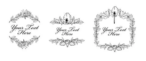 Set of vintage floral elements Stock Illustration