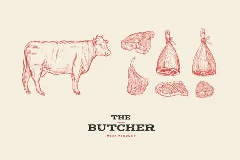 Set vintage hand-drawn different cuts of meats and cow. Stock Illustration