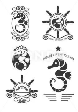 Set of vintage seahorse labels, emblems and design elements. Stock Illustration
