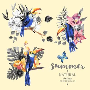 Set of vintage summer vector toucan, butterflies and flowers Stock Illustration