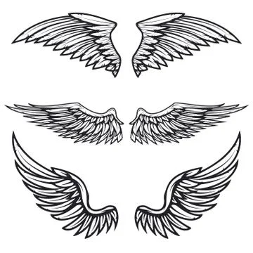 Set of vintage vector wings isolated on white background. Design Illustrazione stock