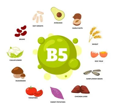 Set of vitamin B5 source products poster, dietetic organic nutrition, Organ.. Stock Illustration