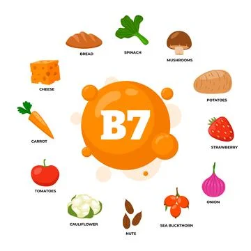 Set of vitamin B7 source products poster, dietetic organic nutrition. Organ.. Stock Illustration