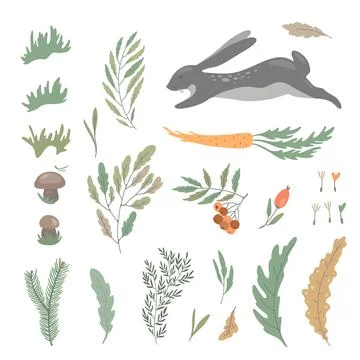 Set vs rabbit, hare, carrot, autumn leaves, branch Stock Illustration