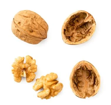 Set the walnut, shell and kernel of walnut on a white background. The view of Stock Photos