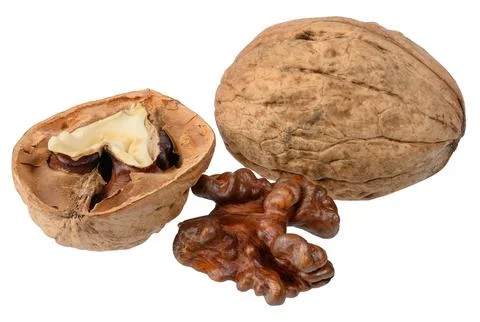 A set of walnuts, including a whole walnut in its shell, a split half, and .. Foto stock