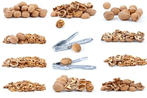 Set of walnuts isolated on the white background Photos