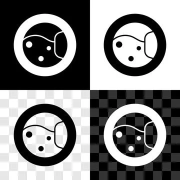 Set Washer icon isolated on black and white, transparent background. Washing Stock Illustration