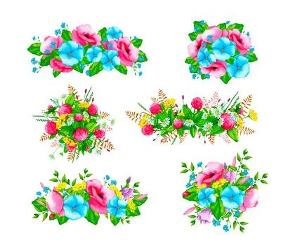 A set of watercolor compositions with wildflowers and wild herbs. Stock Illustration