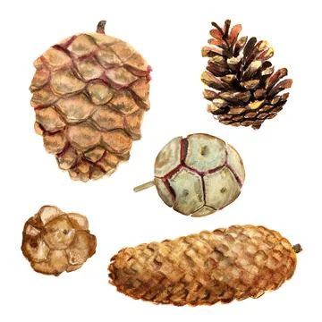 Set of watercolor cones Stock Illustration