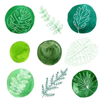 Set of watercolor elements. green circles and plant elements Illustrazione stock