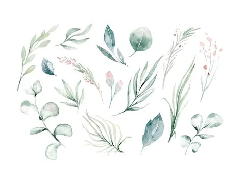 Set of watercolor elements - herbs, leaf. collection garden and wild herb Stock Illustration