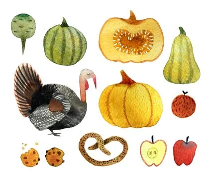 Set of watercolor objects Stock Illustration