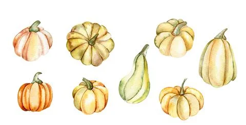 Set of watercolor pumpkins . Fall orange autumn Stock Illustration