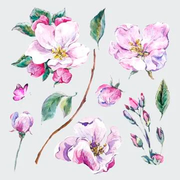 Set of watercolor Spring Nature elements Stock Illustration