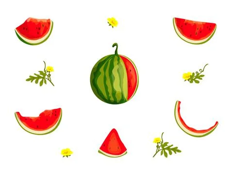 A set of watermelon images. Vector illustration Stock Illustration