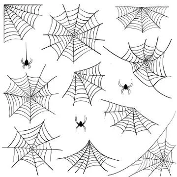 Set of web and spiders for halloween holiday design element isolated on white Stock Illustration